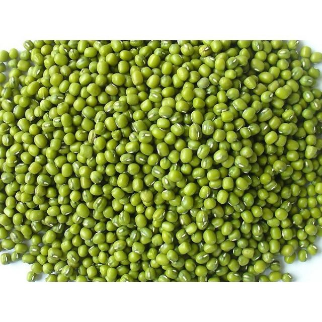 ĐẬU XANH GIỐNG CŨ 1KG - THÁI BÌNH