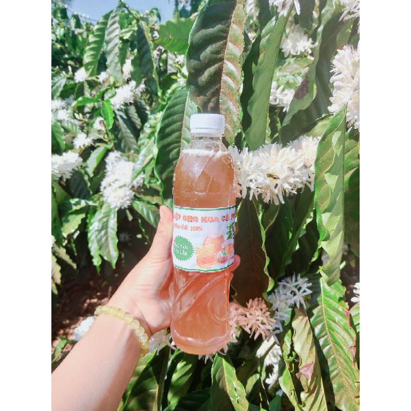 500ml Mật Ong Hoa Cà phê Đăk Lăk