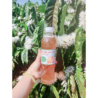 500ml mật ong hoa cà phê đăk lăk