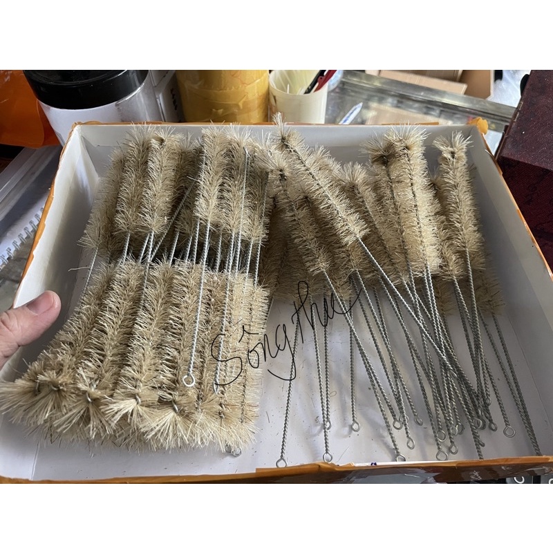 Cây cọ ống nước