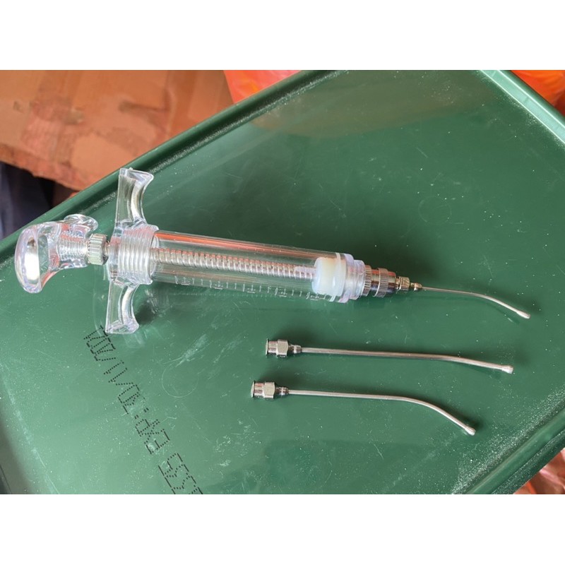 Ống đút cho vẹt con