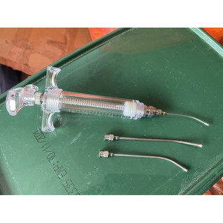 ống đút cho vẹt con