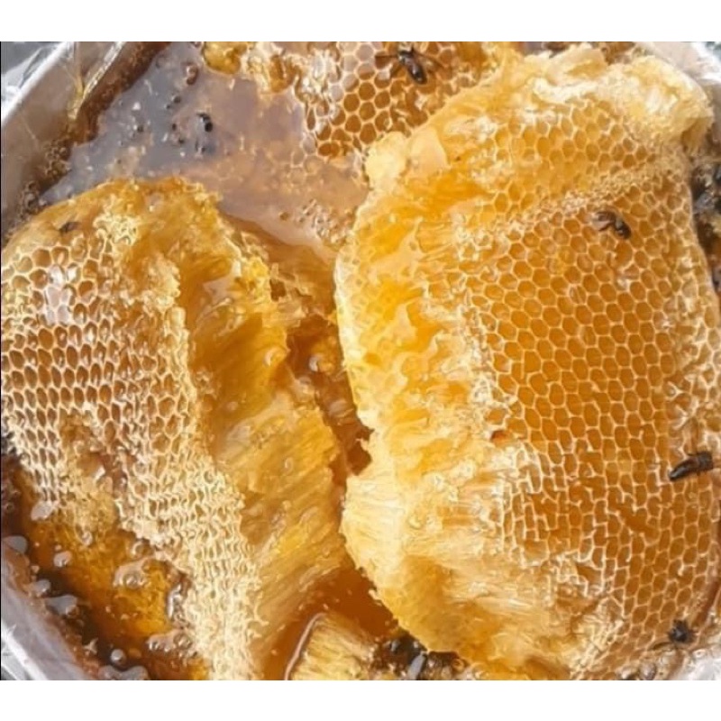 1L Mật Ong Rừng Tự Nhiên,Mật Ong Ruồi Núi Rừng