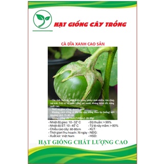Hạt giống cà dĩa cao sản ct265 - gói 0.5gram