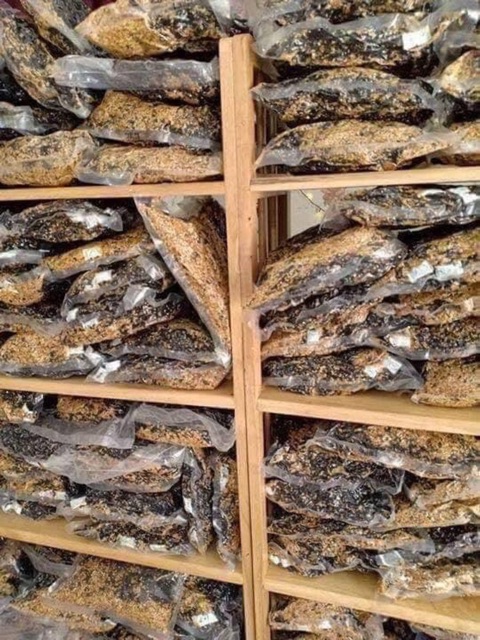 [Mã 156FMCGSALE hoàn 8% đơn 500K] 500G(cháy tỏi ớt) RONG BIỂN CHÁY TỎI🌶 | BigBuy360 - bigbuy360.vn