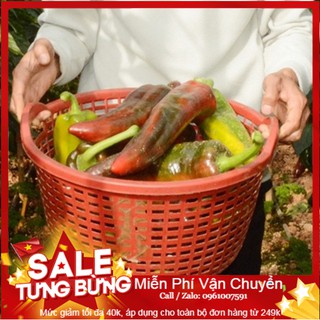 Hạt Giống Ớt Sừng Bò - 30 Hạt