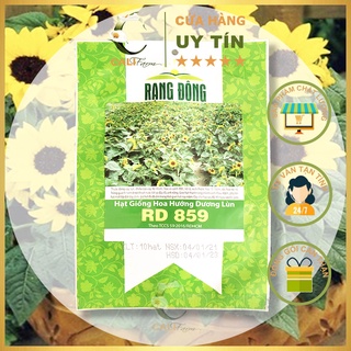 Hạt Giống Hoa Hướng Dương Lùn RD 859 10 Hạt