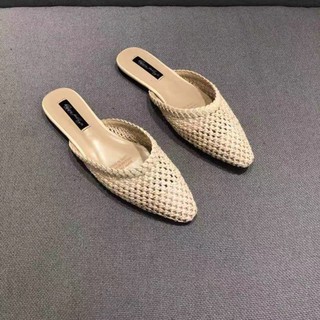 Sục cói mũi nhọn