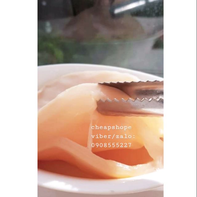 COMBO SCOBY KOMBUCHA+2 CỦ HUỆ+1 VÒI TƯỚI CÂY THÔNG MINH