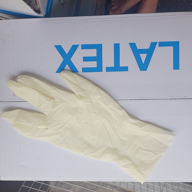 Găng Tay Bee Latex Không Bột Màu Kem Trắng - Bao Tay Y Tế Hộp 100 Chiếc=50 Đôi