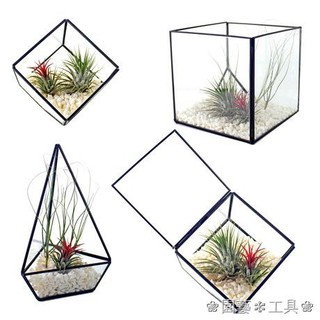 Chậu Hoa Thủy Tinh Màu Đen Thiết Kế Hình Học Sáng Tạo