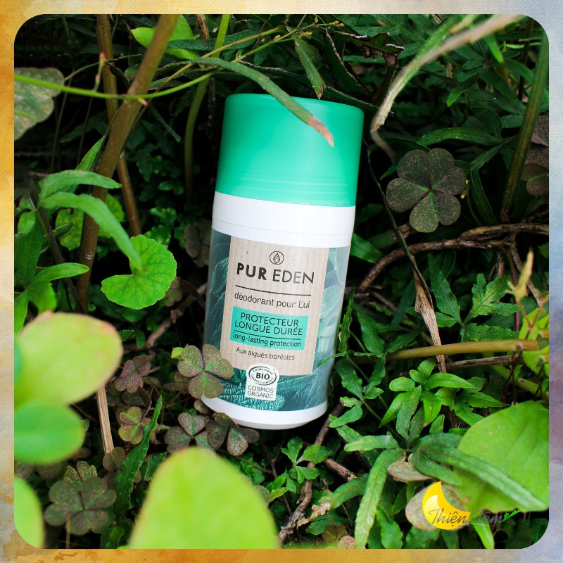 PUR EDEN / 1 chiếc lăn khử mùi cho Nam giới 50ml từ Pháp