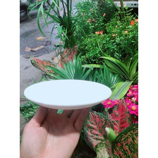 Đĩa Lót Nhựa đường kính 17-23cm