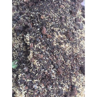 1kg Đất dinh dưỡng cho cây trồng