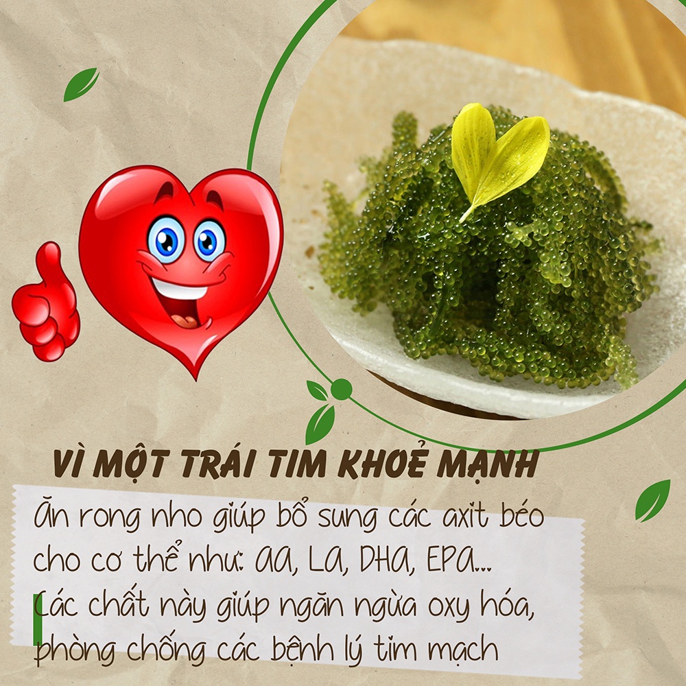Rong nho tách nước LỘC MINH gói 50g nở 150g, ăn ngon, giòn, mua 10 tặng 1, 19 tặng 2, rong nho màu tự nhiên.