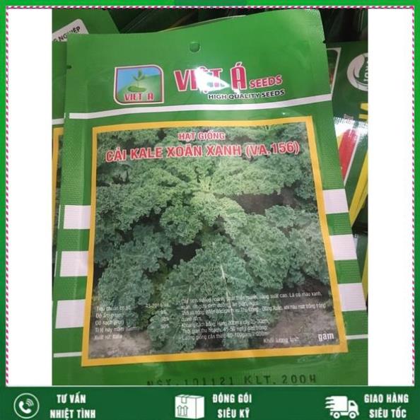 Cải xoăn Kale -Việt Á,giàu dinh dưỡng, dễ trồng