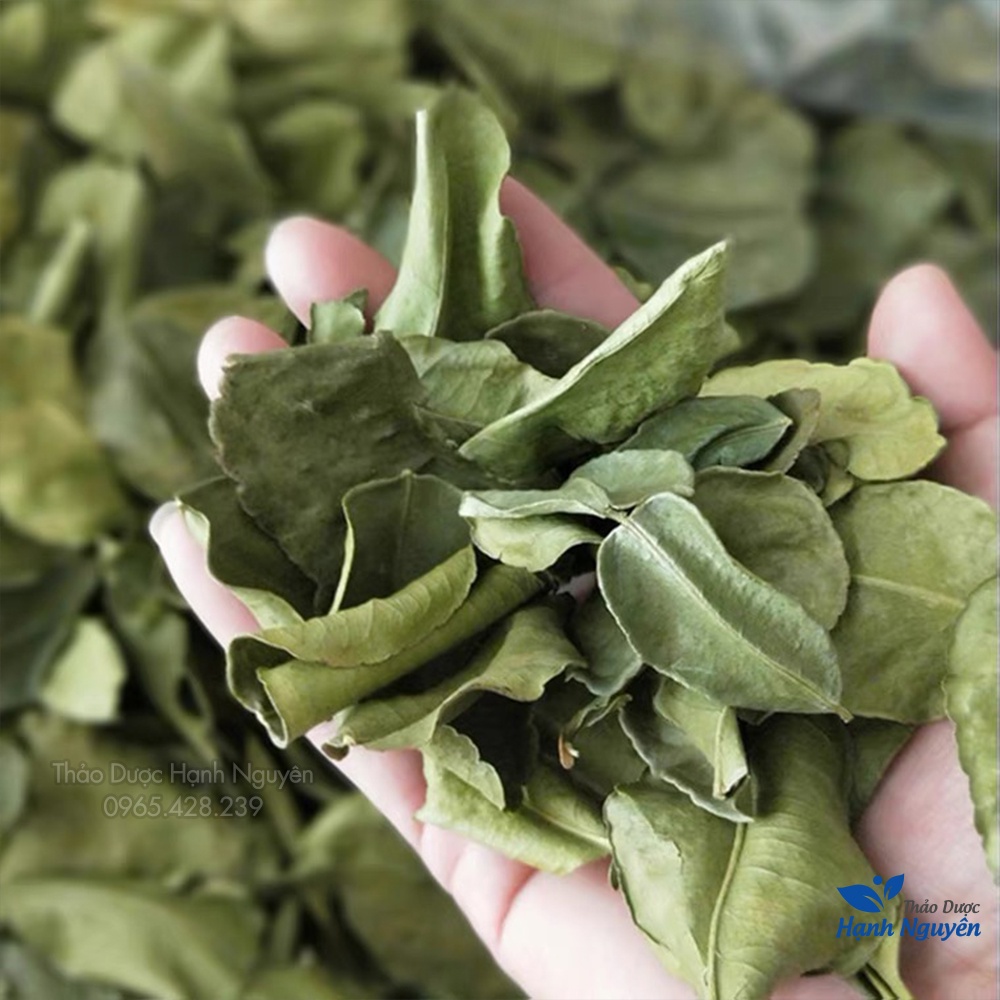 Lá chanh sấy khô 500g (Gia vị lẩu thái,lá xông giải cảm xả chanh) - Thảo Dược Hạnh Nguyên