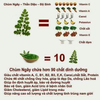 [FREESHIP 99K TOÀN QUỐC]Bún chùm ngây