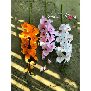 SET ĐẦY ĐỦ NGUYÊN LIỆU LÀM CHẬU LAN !