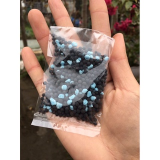Phân bón cho sen đá , xương rồng