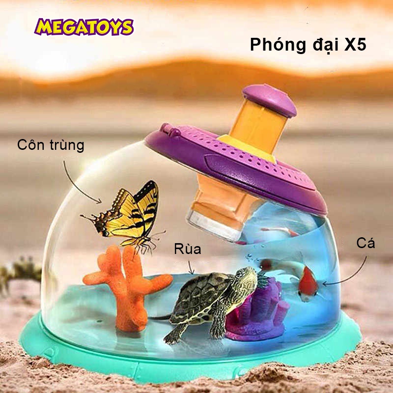 Đồ Chơi Stem - Bình Quan Sát Côn Trùng , Động Vật Qua Kính Phóng Đại Elton - 1111-180