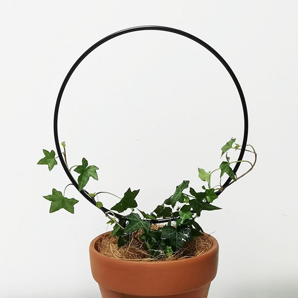 Khung Hỗ Trợ Trồng Cây Hình Tròn Bằng Sắt Chắc Chắn Dùng Trong Nhà / Ngoài Trời