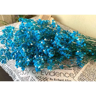 Hoa baby khô HOA BABY BLOOM màu xanh đậm decor trang trí nhà cửa, đạo cụ chụp ảnh phong cách vintage
