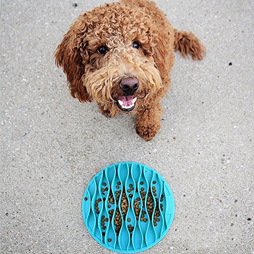 Outward Hound Bát ăn chậm Fun Feeder cho cún
