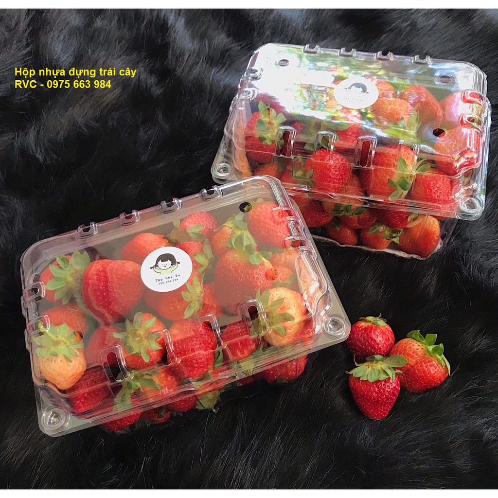 Hộp nhựa trong đựng 1kg trái cây P1000B