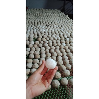 Men Ủ Rượu Cây Lá Men