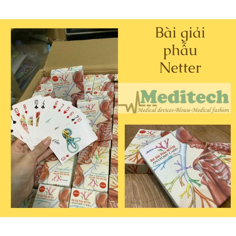 BÀI ATLAS GIẢI PHẪU NETTER DÀNH CHO SINH VIÊN Y