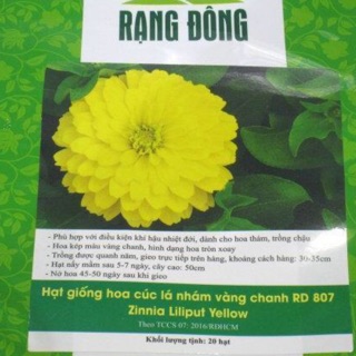 Hạt Giống Cúc Lá Nhám Vàng 807 (20 hạt)