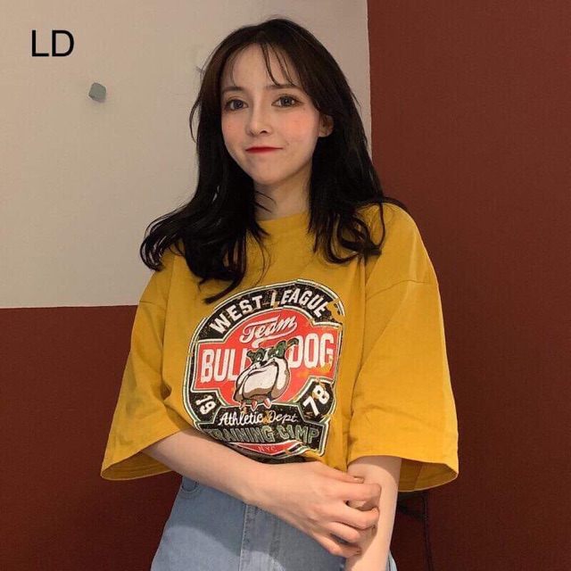 Áo phông cún Bull 1978 LDU0719