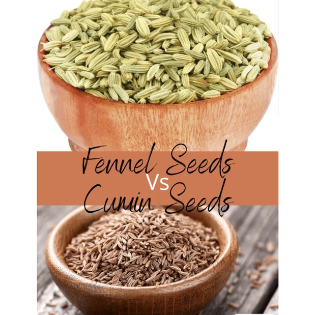 Hạt thì là ( Fennel seed) AB- hầm canh, muối rau củ - Foodland