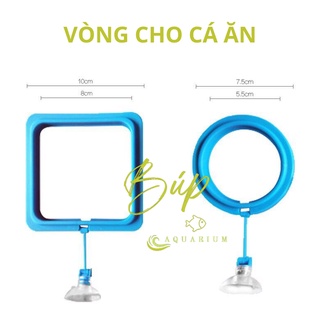 Vòng cho cá ăn, vòng giữ thức ăn cho cá