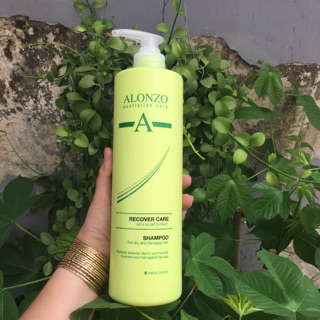 Dầu gội phục hồi tóc khô và hư tổn Alonzo Recover Care Shampoo