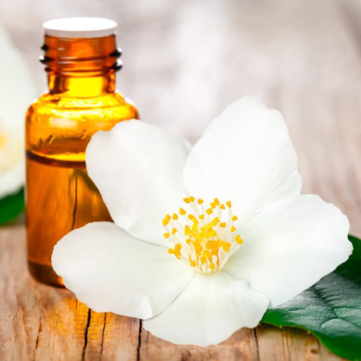 Tinh dầu GUTY hương hoa nhài nguyên chất ( Jasmine essential Oil )