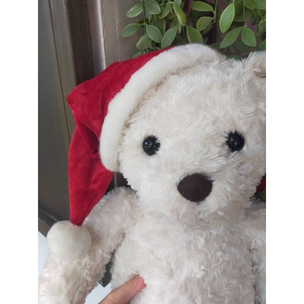 Gấu bông Teddy giá rẻ🌲☃️🍃