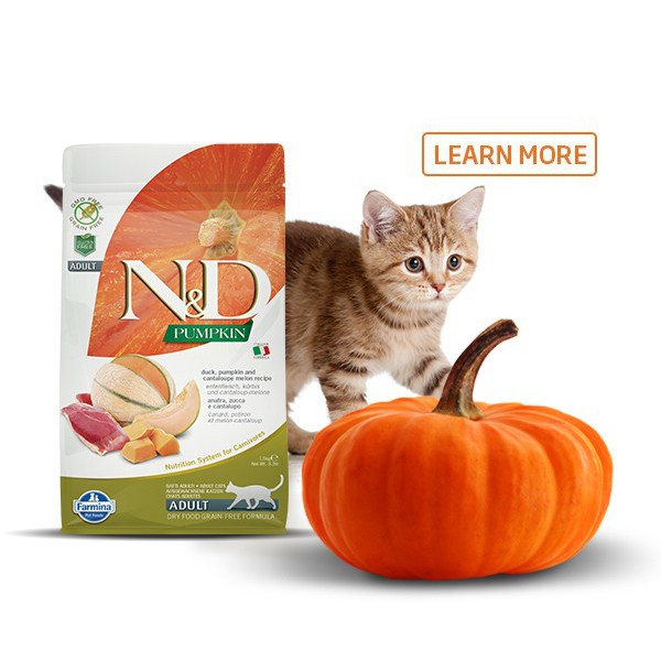 1.5kg - Hạt N&amp;D ™ Vịt &amp; Dưa lưới dành cho Mèo trên dòng Pumpkin - Farmina N&amp;D ™ DUCK &amp; CANTALOUPE ADULT Pumpkin for Cat