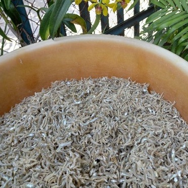 Cá Cơm Ngần Ngon Như Hình