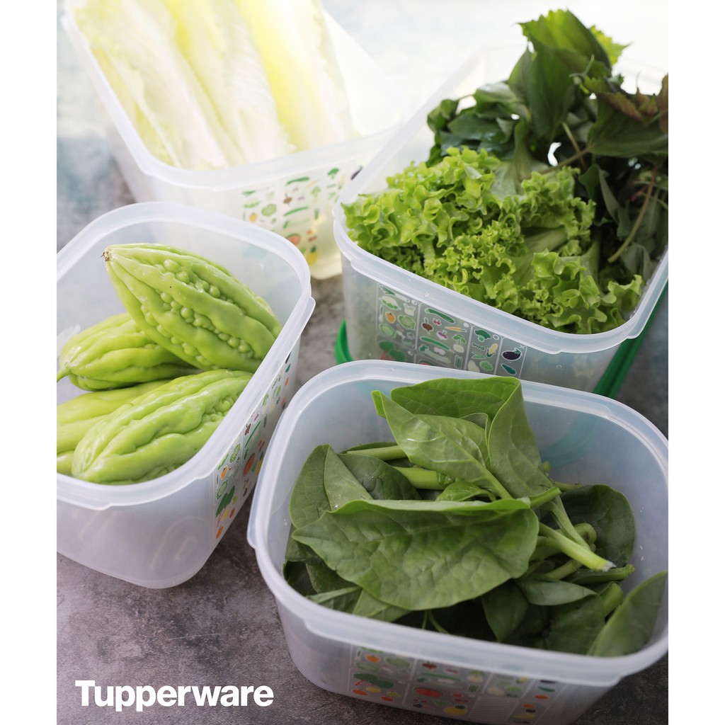 Tupperware Lẻ Ventsmart Các loại 800ml, 1.8L, 4.4L, 6.1L