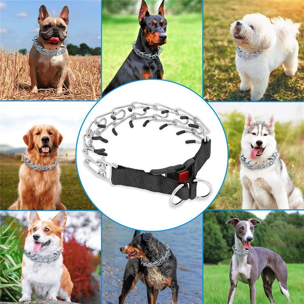 YVE Dây Cao Su DẫN Thú Cưng Đi DạO