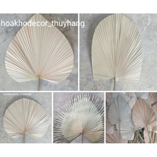 Lá Cọ Khô Trang Trí, Decor Nhận Cắt  Mẫu ,Size Theo Yêu Cầu  ( chuyên sỉ sll)