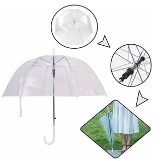 Dù Trong Suốt Tự Động, Dù 7 Màu Siêu To Khổng Lồ
