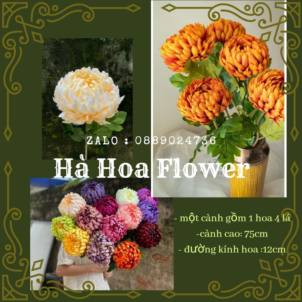 Cành Cúc Đại Đóa , Cúc Mẫu Đơn Cao 75cm. Hoa Giả Cao Cấp, Trang Trí Nhà Cửa, Phòng khách , Decor....| Hà Hoa Flower