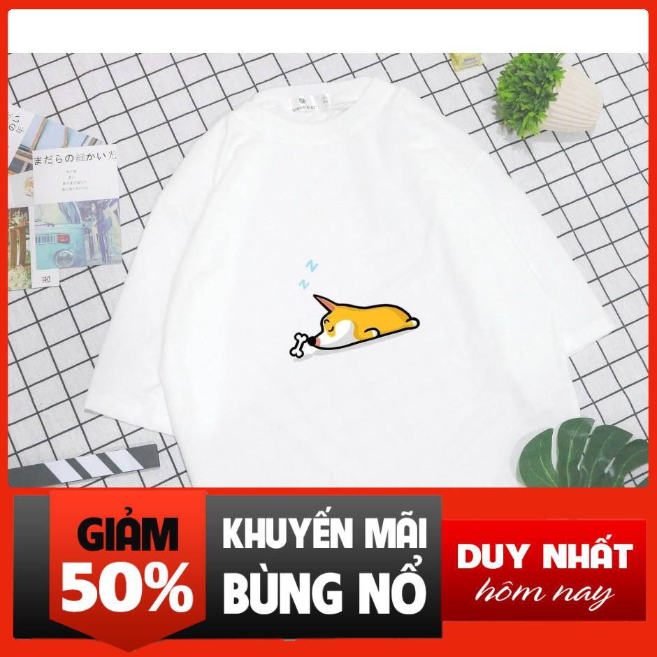 Áo Thun Nam Nữ Tay Lỡ Unisex Phông Trơn Oversize Form Rộng Basic Tee Hình corgi ngủ mơ thấy cục xương đẹp