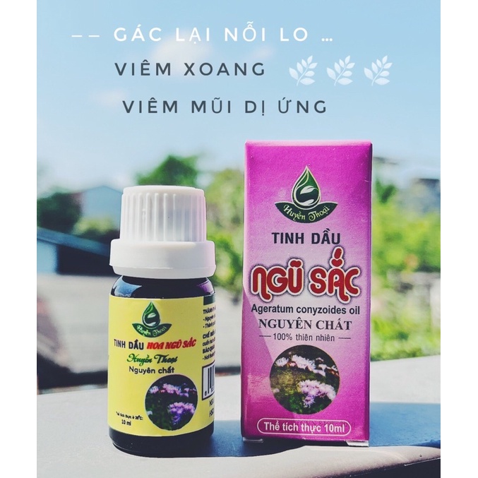 Tinh dầu hoa ngũ sắc Huyền Thoại, tinh dầu hoa cứt lợn, tphcm