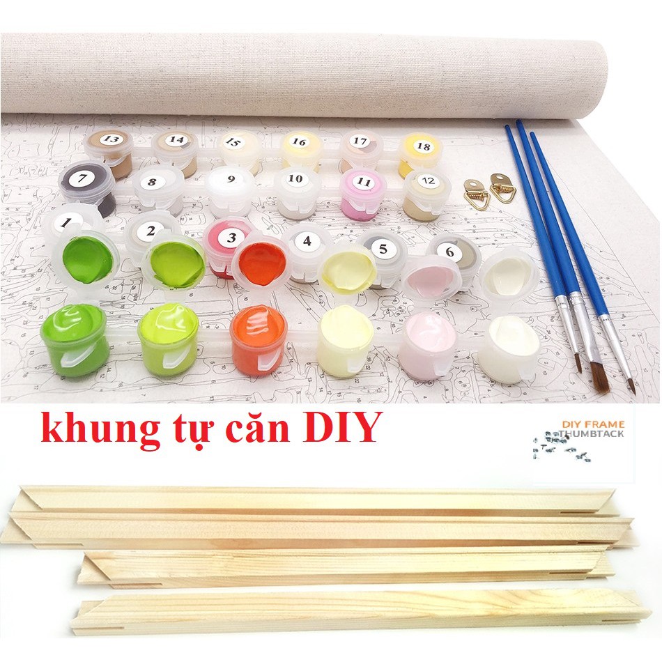 Tranh sơn dầu số hoá tự tô - Hoa cúc dại KTDZ0005 40x50cm có khung