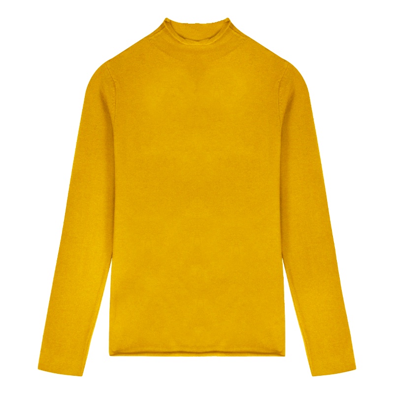 Áo Sweater Dệt Kim IELGY Cổ Cao Tay Dài Dáng Ôm Màu Đen Cơ Bản Thời Trang Mùa Thu Cho Nữ 2021