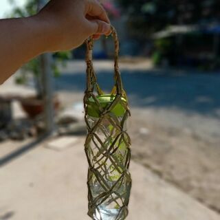 Xách ly quay cỏ bàng